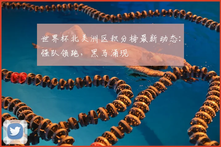 世界杯北美洲区积分榜最新动态：强队领跑，黑马涌现