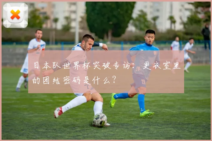 日本队世界杯突破专访：更衣室里的团结密码是什么？