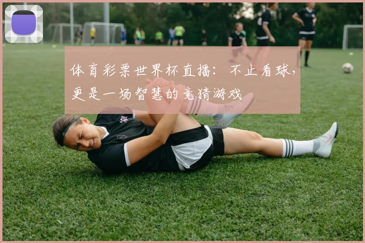 体育彩票世界杯直播：不止看球，更是一场智慧的竞猜游戏