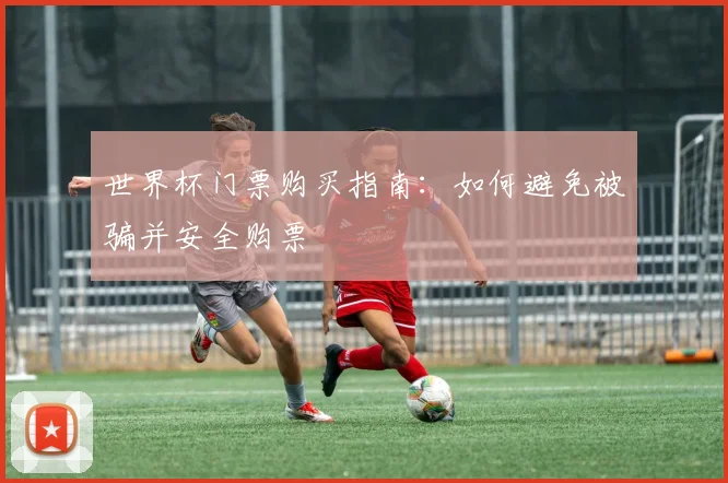 世界杯门票购买指南：如何避免被骗并安全购票