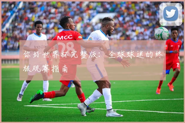 你好世界杯完整版：全球球迷的终极观赛指南