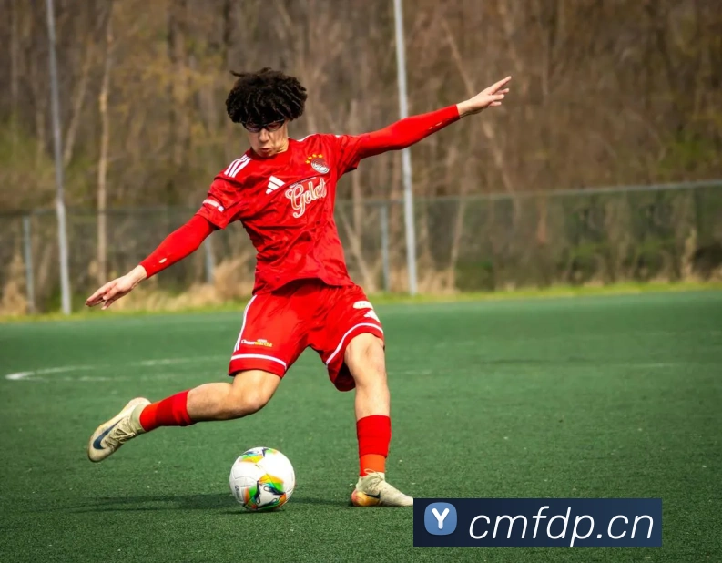 App Interface Preview